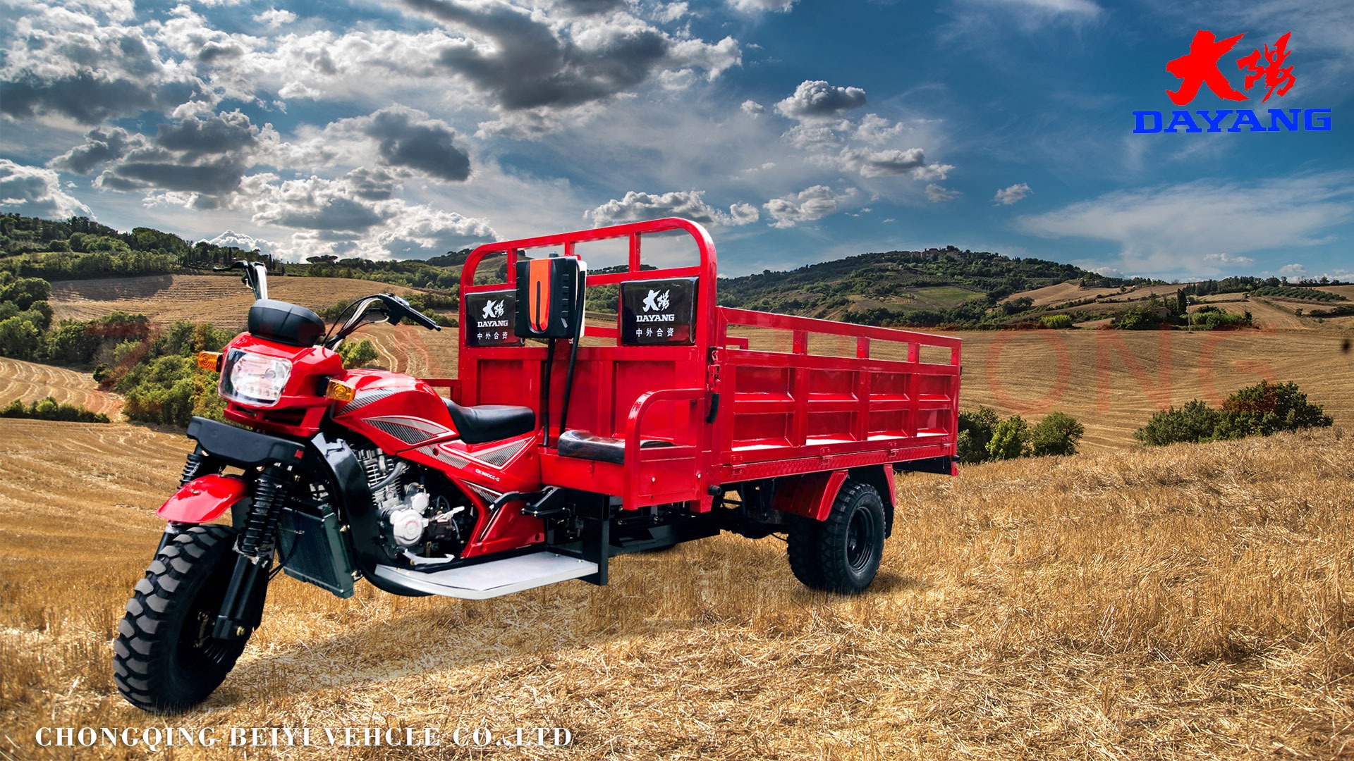 Togo Adult Zongshen Lifan Loncin Engine 150cc 200cc Farming Truck Cargo Tricycle