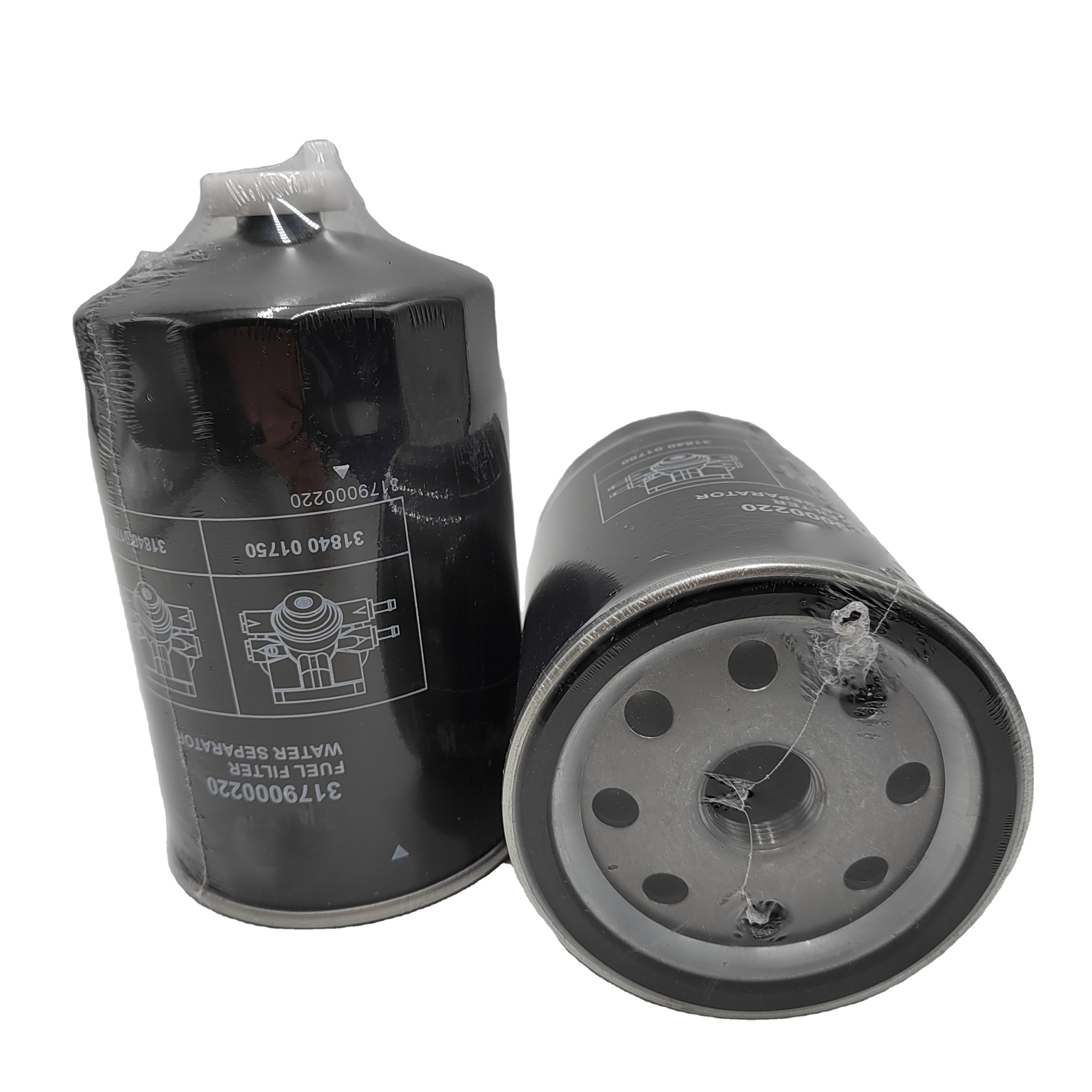 Truck Engine Parts Fuel Filter 3179000220 with OE NO. from Experienced OEM