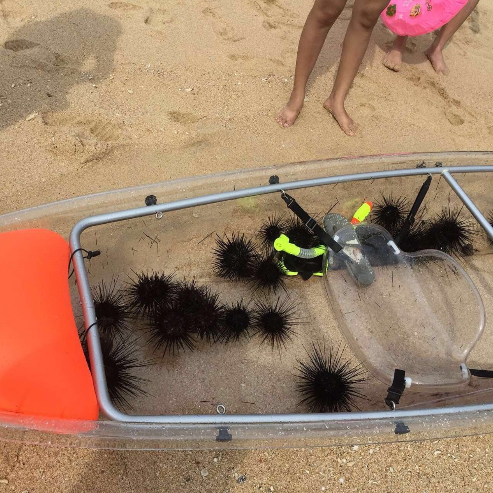 PC Floor Clear Boat Kayaking With Bottom / Surf Ski Kayak For Water Recreation