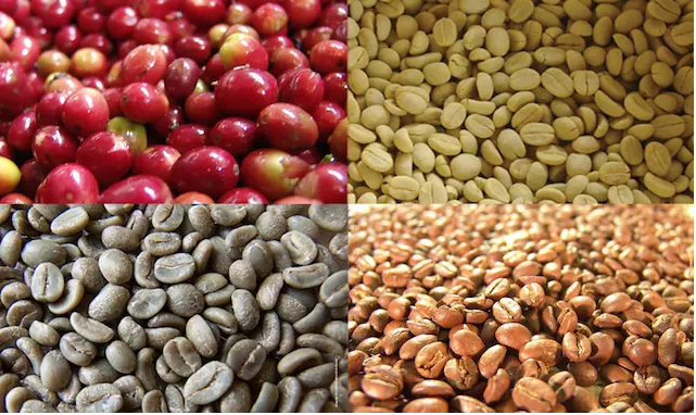 cocoa peeling machine automatic brown rice huller coffee husk peeling machine