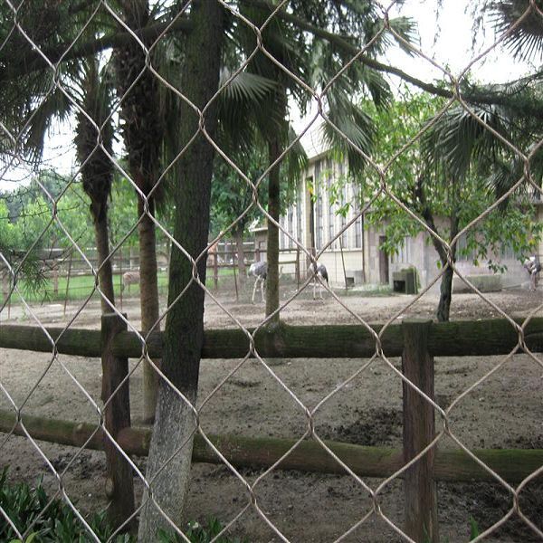 Stainless Steel Cable Webnet