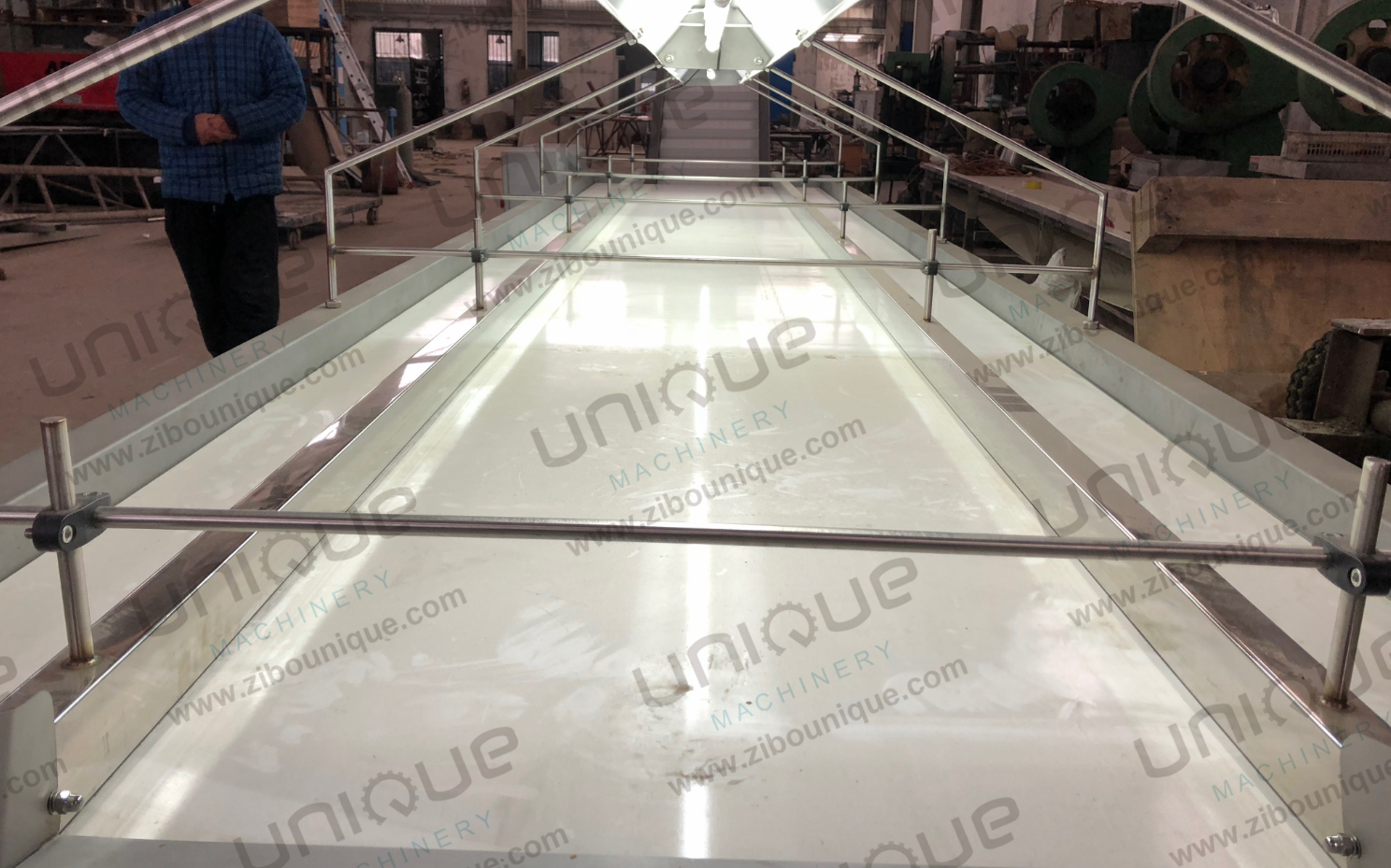 220v/ 380v Stainless Steel 304 Nut Selecting Conveyor Belt for Raisin Sorting Machine