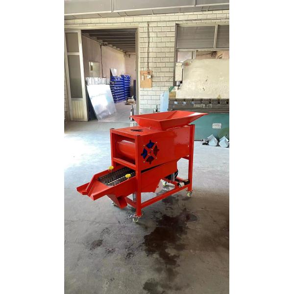 OEM Vertical Vegetable Processing Machinery Garlic Lahsun Grading