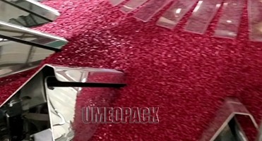 Automatic seeds bag packaging machine and labeling machine price