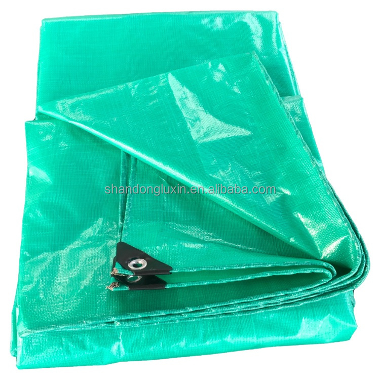 PE Tarpaulin 100% Waterproof for Truck Cover and Cargo Cover in Customer Request Color