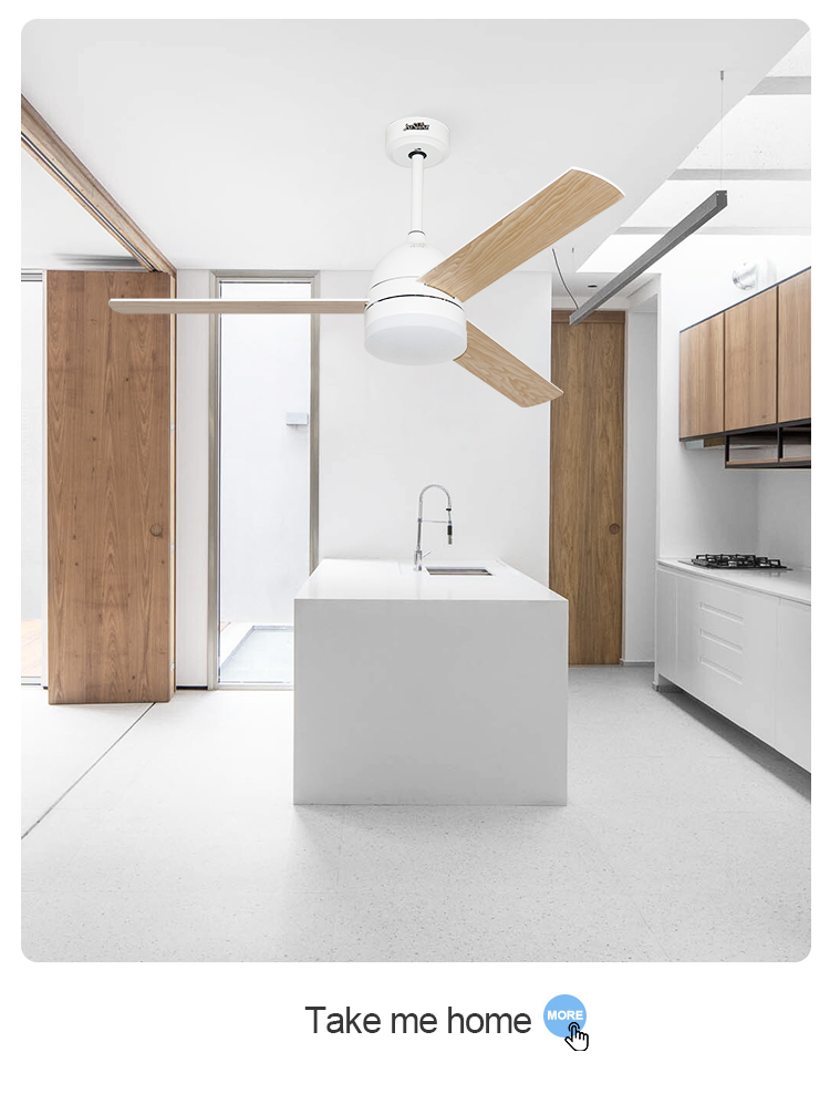 ceiling fan