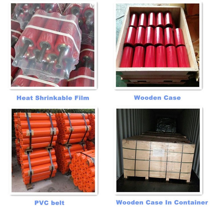 Hdg Carbon Steel OEM Conveyor Belt Side Guide Rollers