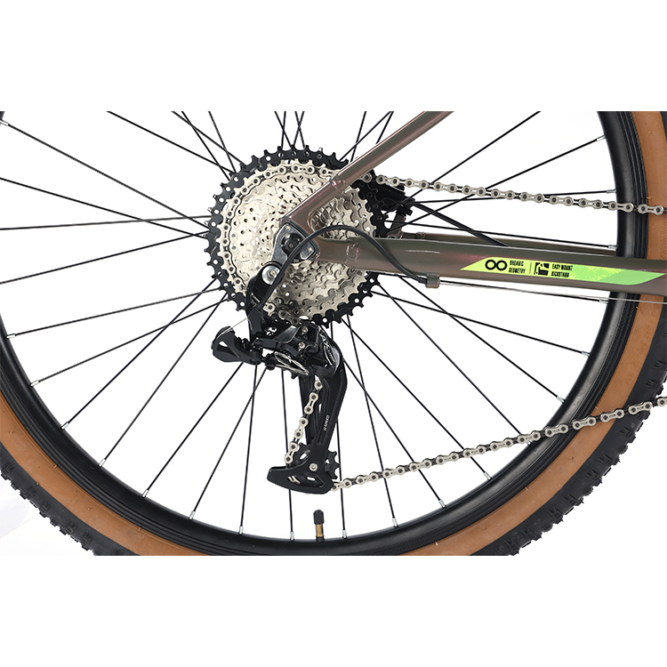 22 Speed Hydraulic Disc Brake Mountain Bike for 29er Aluminum Material and Construction