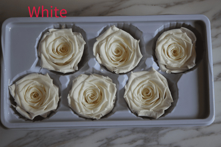 beautiful preserved rose flower A grade stabilized rose preserved long lasting eternal rose 4-5cm