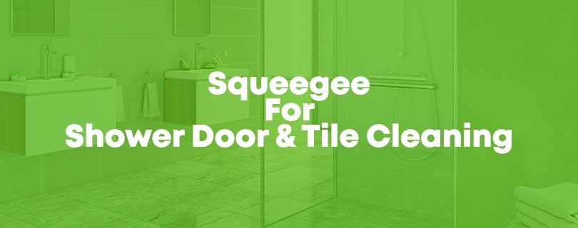 Stainless Steel Window Squeegee With Silicone Blade / Hook