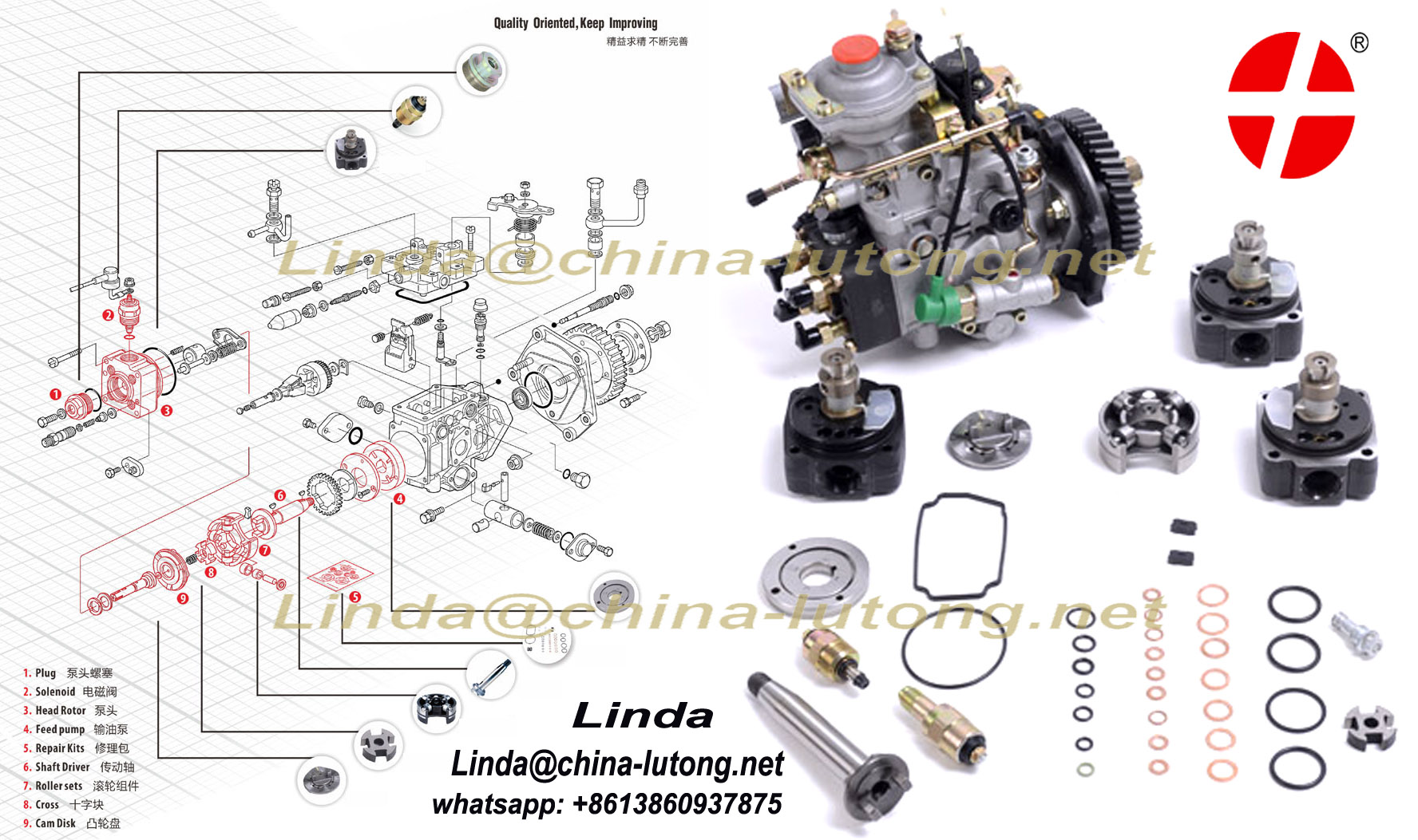 hydraulic head pdf
