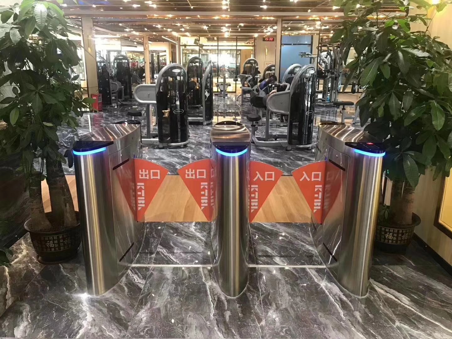 Electronic Security Auto Delay Closing Flap Barrier Turnstile