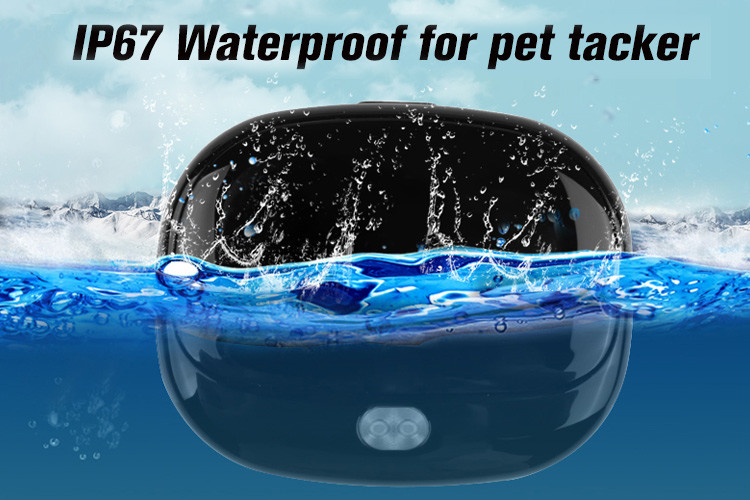 35g Black Smart Dog Collar Gps Tracker Low Battery Alarm