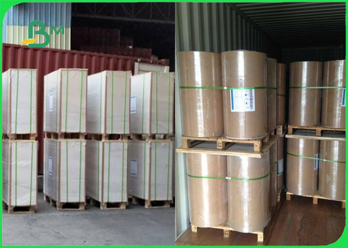 100% Virgin Food Brown Kraft PE Coated 750 / 800 / 900 Rolls OEM Services