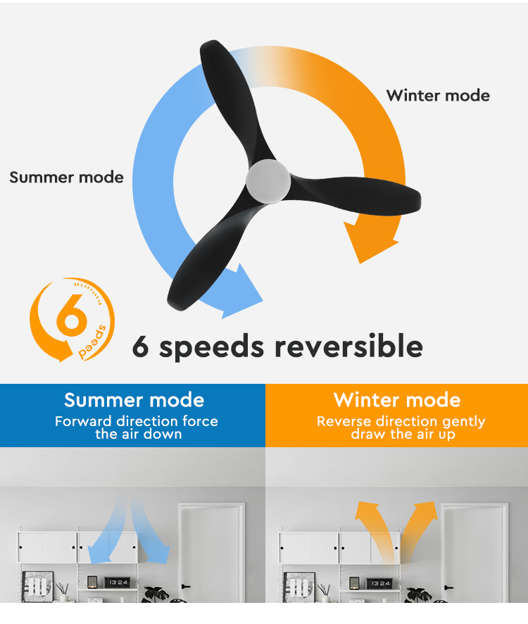 ceiling fan