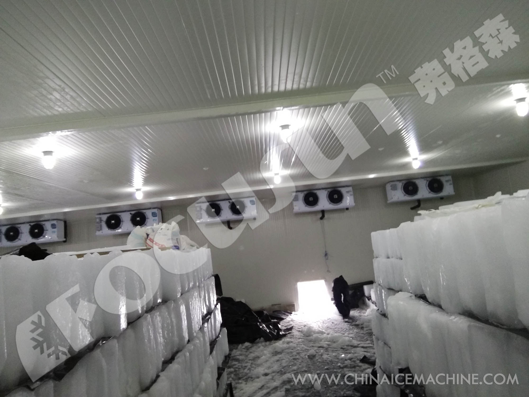 Manufacturing Plant Ice Block Maker with Cold Storage Room and Low Voltage Components