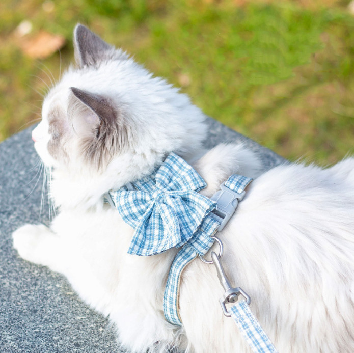cat lead for garden