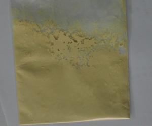 China Chinese herbal extract panax ginseng root extract ginsenoside, 10%-80%ginsenoside powder on sale