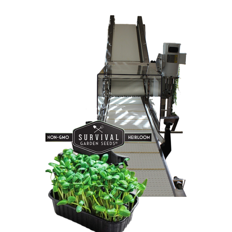 Lowest Baby Leaf Harvester with Advanced Hulling and ≤0.3% Germination Damage Rate