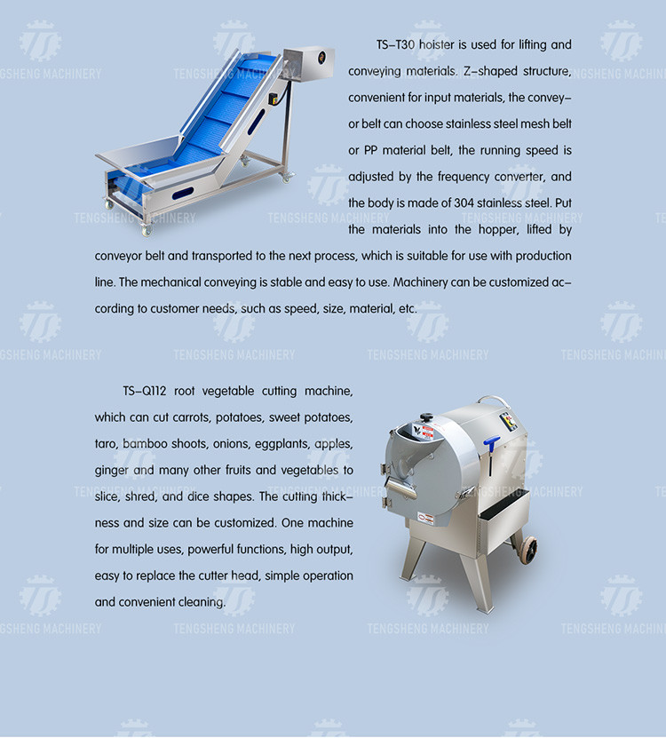 0.75KW 0.8 Tons / Hours Vegetable And Fruit Washing Machine