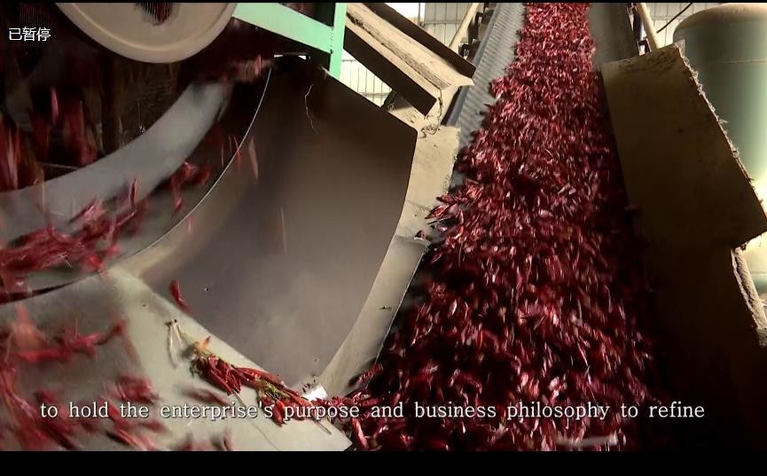 AD Dried Xian Chilli 20CM Whole Dried Chillies Non Irradiated