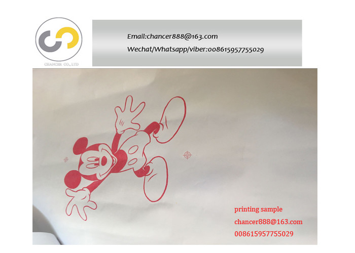 2 colors PP PE plastic film paper roll small flexo printing machine