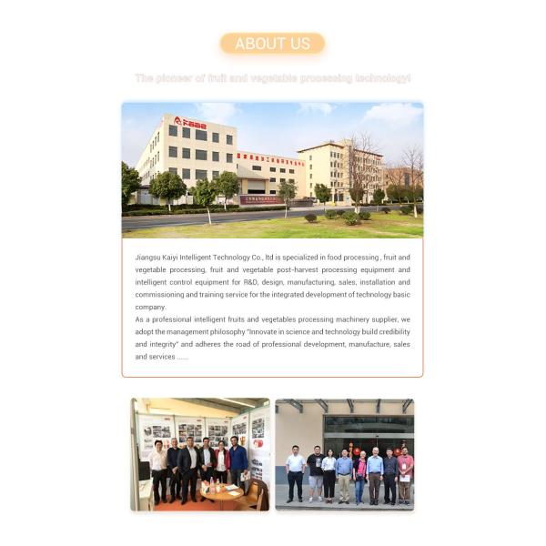 Silver Easy Clean 4000kg/H Fruit And Vegetable Processing Machine With Net Weight 300kg