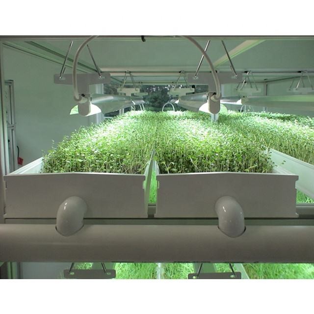 Grass Hydroponic Fodder Machine Livestock Big Farm Fodder Growing Systems