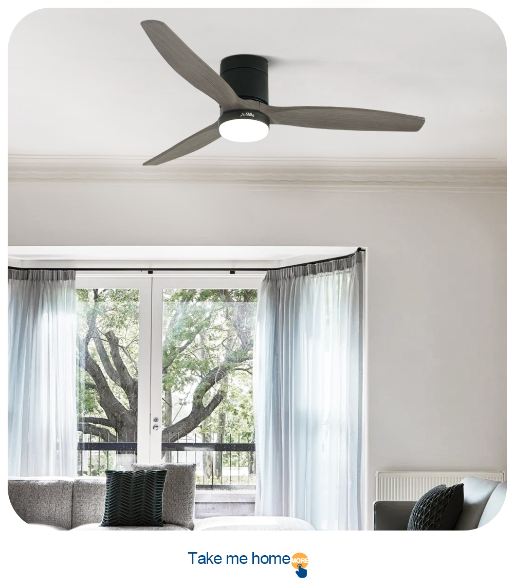 ceiling fan