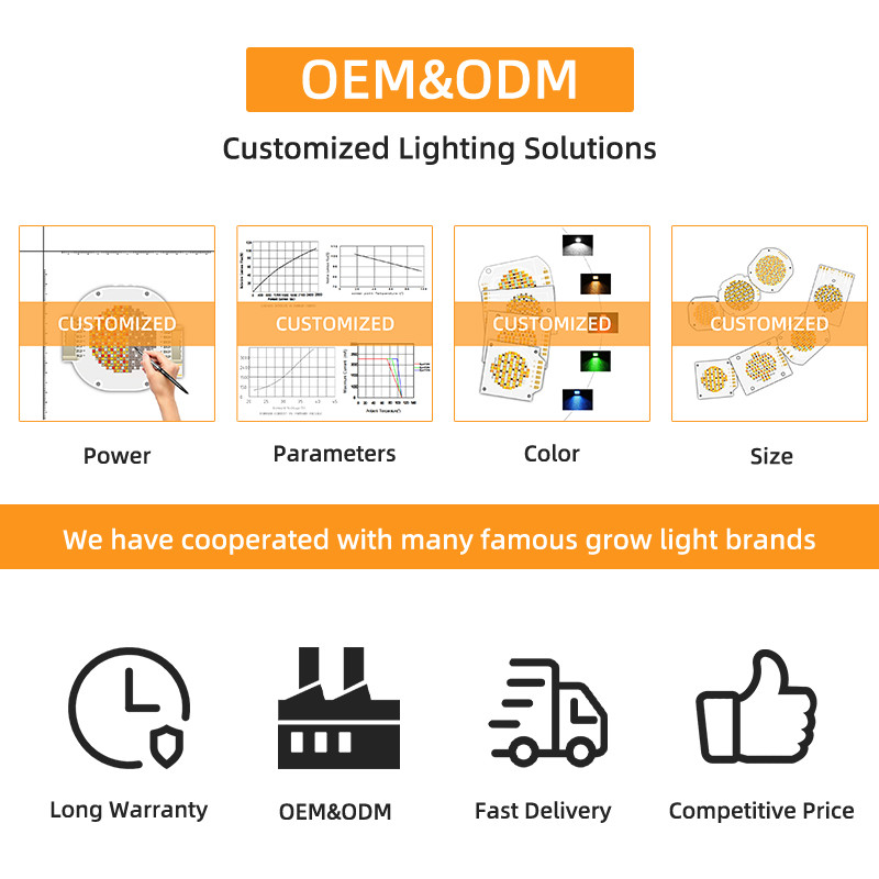 High Power 300W COB LED Chip Bicolor Dual CCT 2700K 6500k Warm White White CRI 95