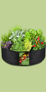 grow bags