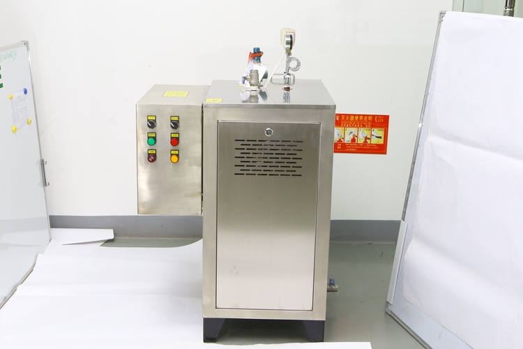 Electric Microwave 18kw Steam Generator Boilers Bread Machine Cleaning 24kg/H