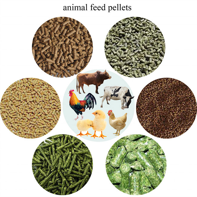 feed pellet machine