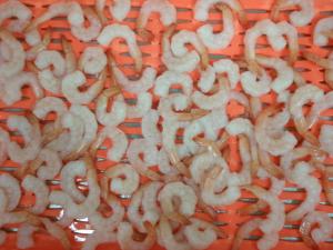 Buy cheap IQF Frozen Skinless Vannamei White Shrimp / Fresh Frozen Shrimp For Restaurant product