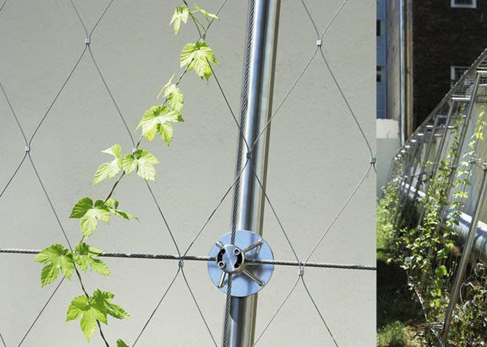 7x19 Stainless Steel Wire Rope Mesh