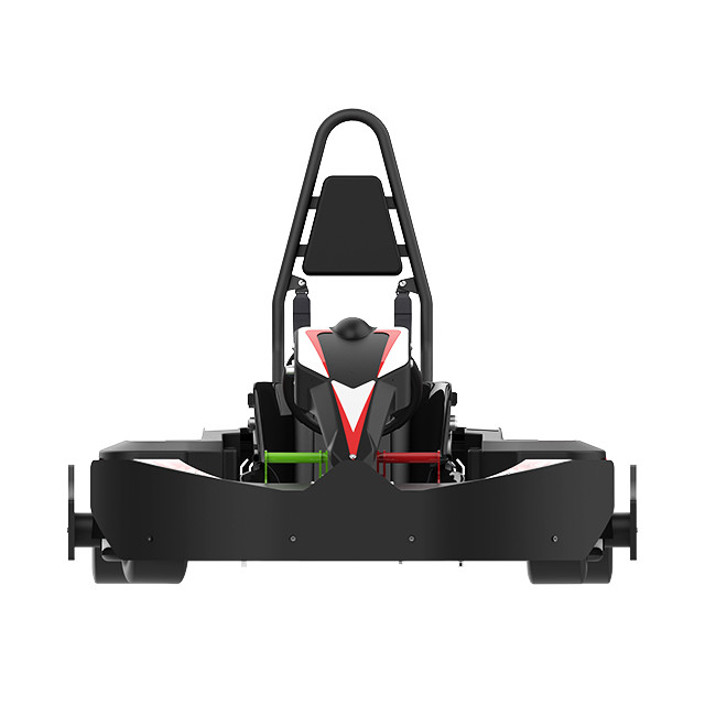 Remote Control 14Nm Motorized Go Karts For Adults Racing 175Kg