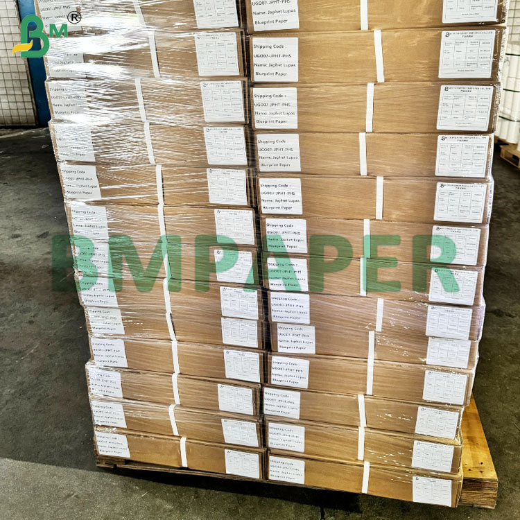 80gsm White Uncoated CAD Plotter Paper with Excellent Ink Absorption