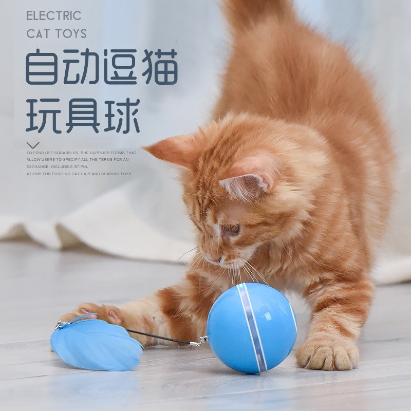 plastic cat balls 