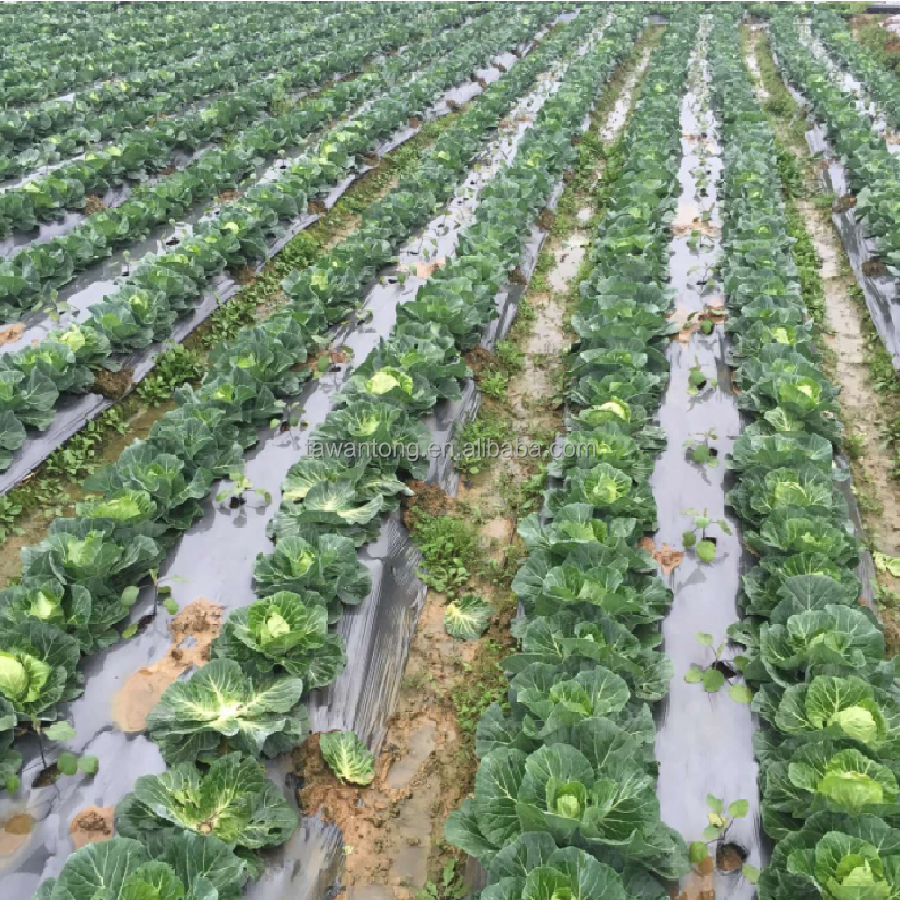 0.4-6m Width Moisturizing Agricultural Protective Plastic Film with Perforated Design