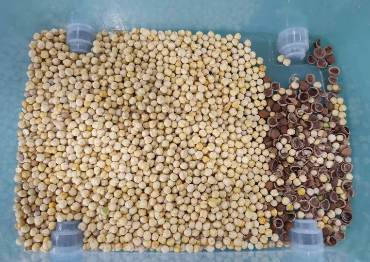 64 Chute Cashew Nut Color Sorter High Capacity