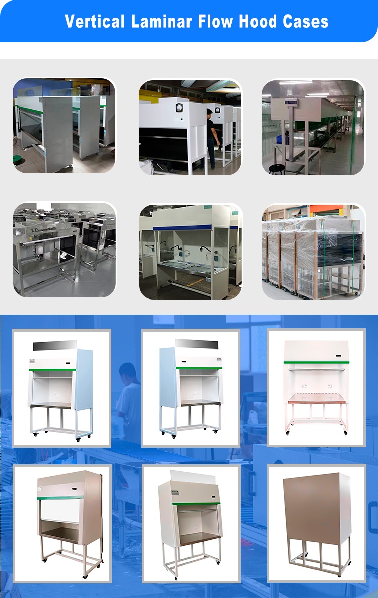 SS 304 Benchtop Laminar Airflow Cabinet Clean Bench Cold Rolled Steel 220V 50Hz
