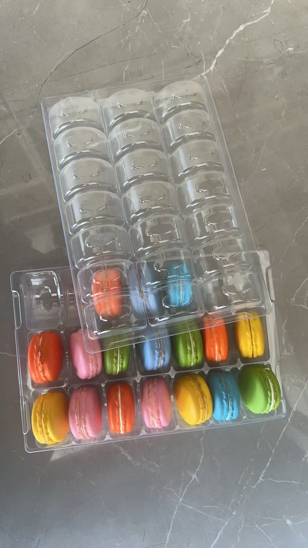 6 Pallets Plastic Packaging Macaron Tray Packaging Support Custom Food Safe