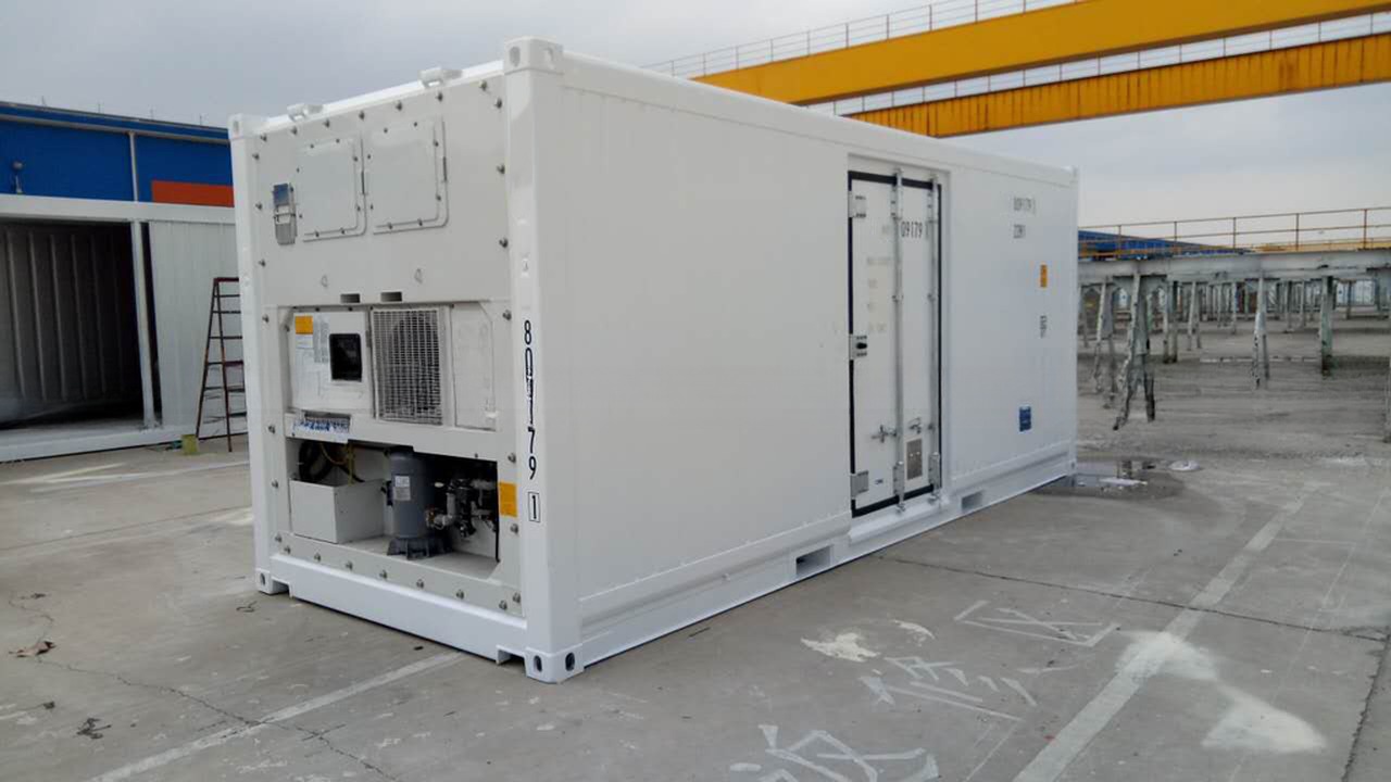 Carrier Cooler 20ft Reefer Container with Side Door Aluminum Bottom Thermo King Refrigerated Freezer