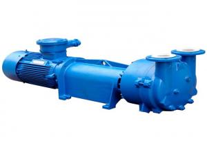 China Cast Iron 11KW SS316L 415V Water Ring Vacuum Pump on sale