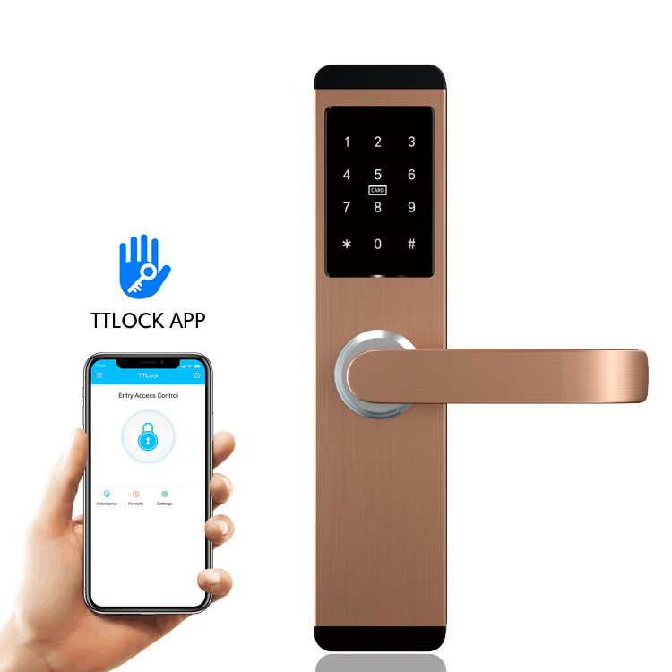 4AA Apartment Smart Door Lock 288×77mm FCC Rfid With Password TTLock