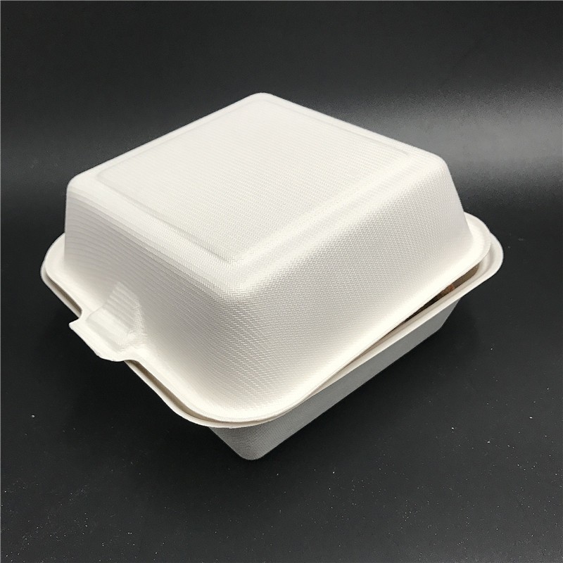 Clamshell Biodegradable Take Away Box Sustainable Fast Food Packaging