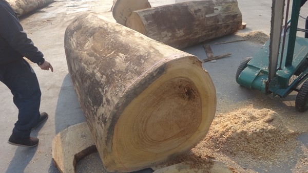 Color Makore Natural Wood Veneer Crown Cut Grain Customized Service