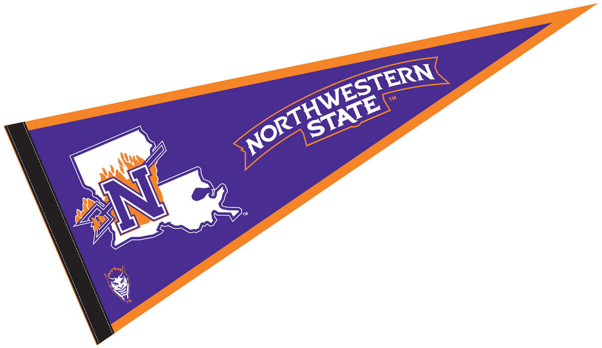 Durable Polyester Felt Pennant Flag CMYK Printing For Event 30x45cm