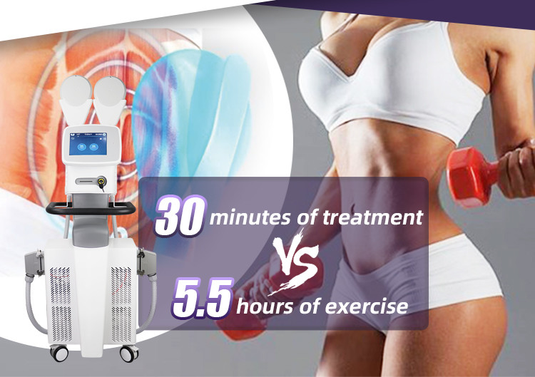 2 Handles Electric Muscle Stimulator Machine For Fat Reduction