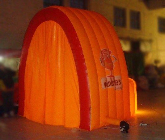 Lighting Inflatable Stand for Advertisement and Promotion
